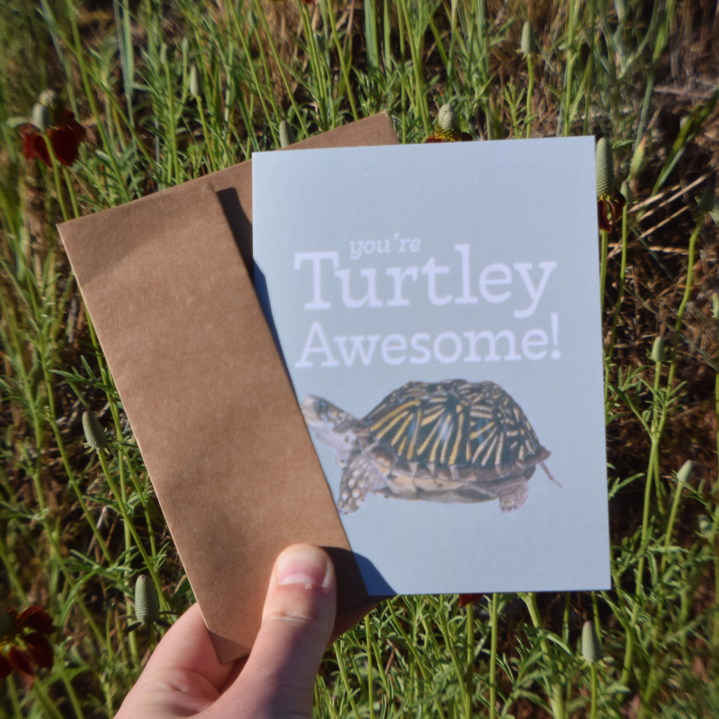 You're Turtley Awesome Card