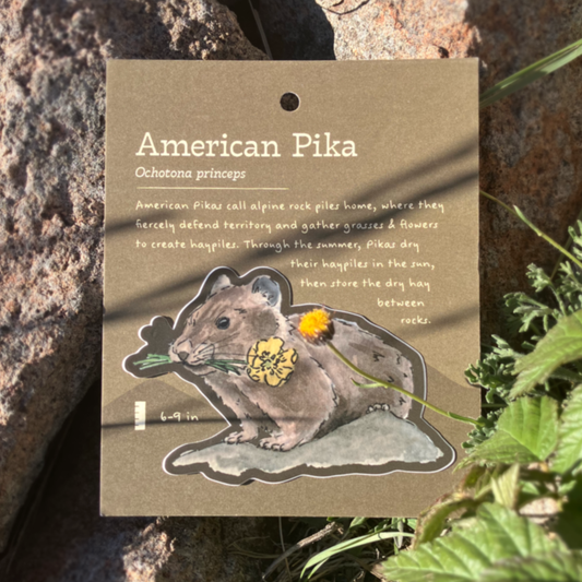 American Pika Sticker