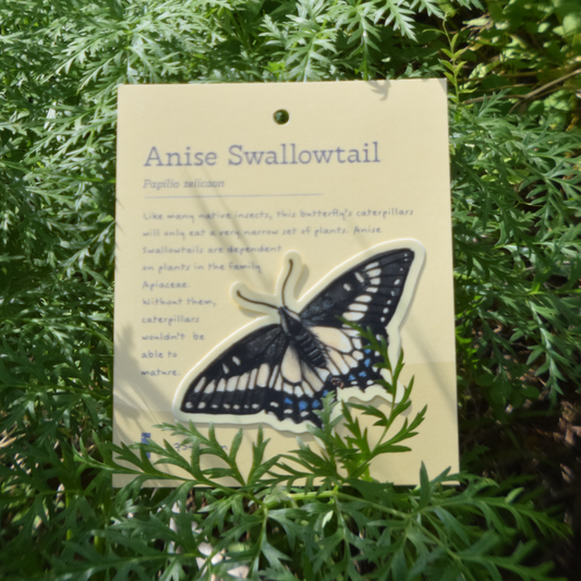 Anise Swallowtail Sticker