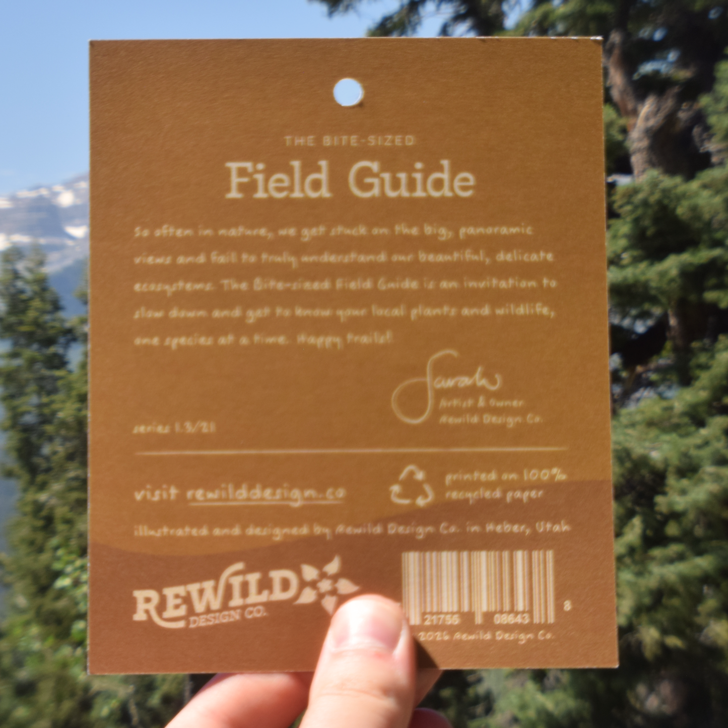 Arrowleaf Balsamroot Sticker