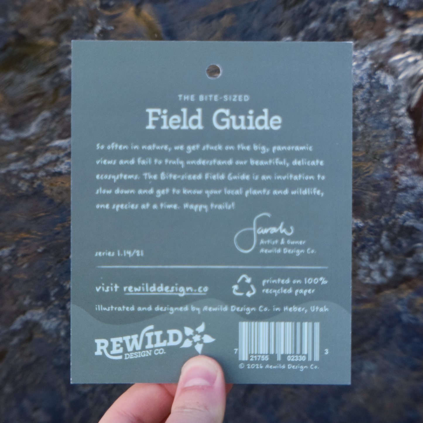 Bonneville Cutthroat Trout Sticker