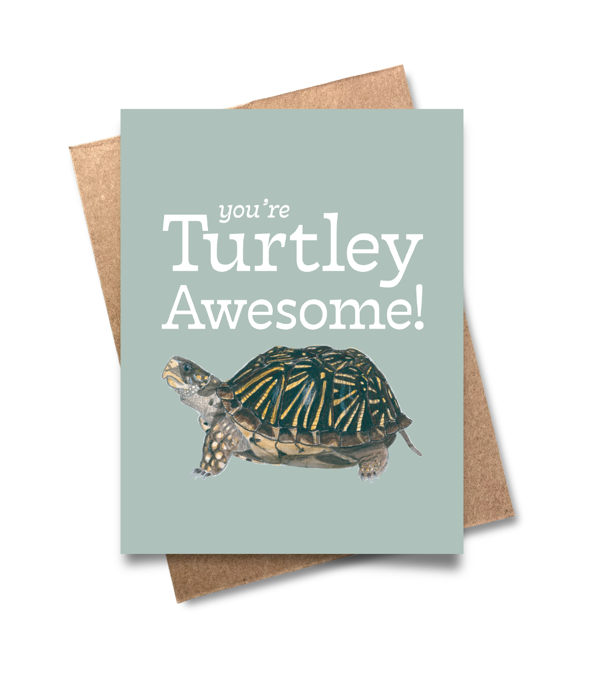 Pack of 8 Punny Greeting Cards