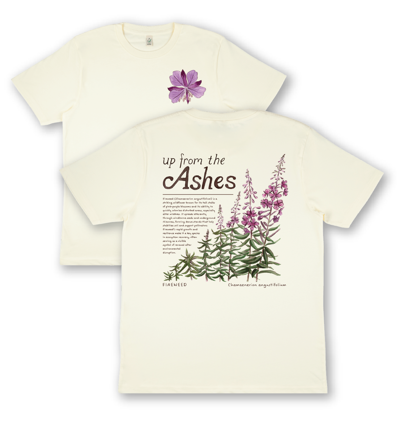 Apparel