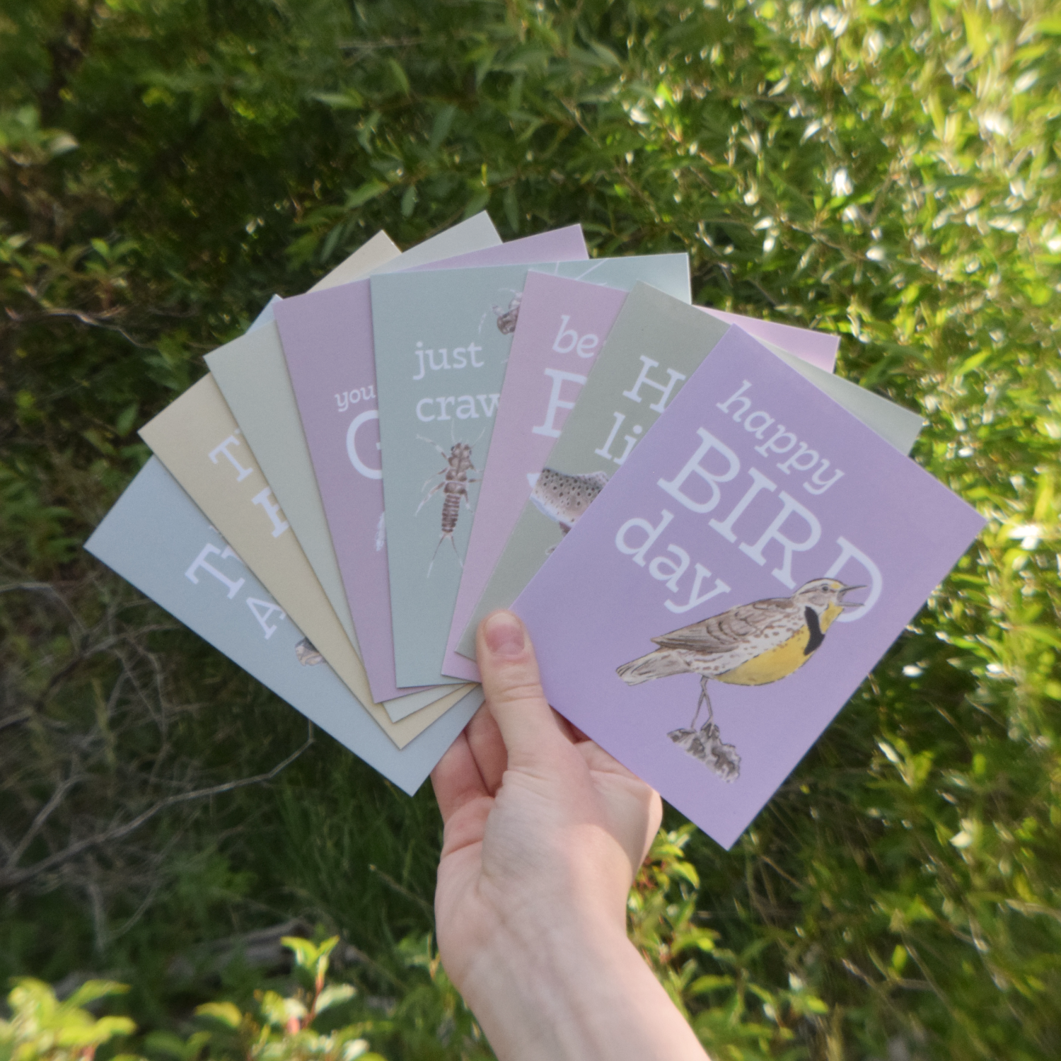 Greeting Cards