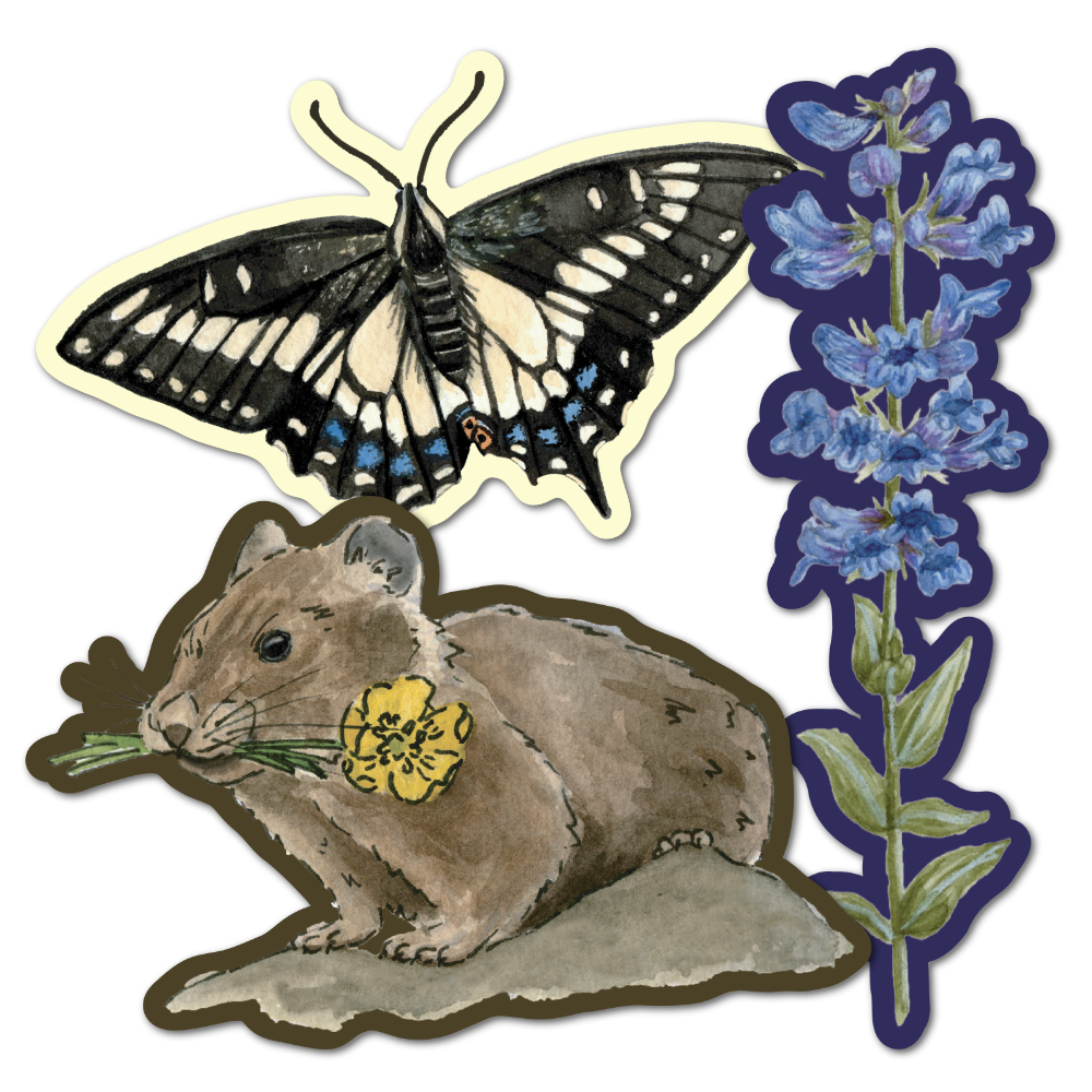 Stickers