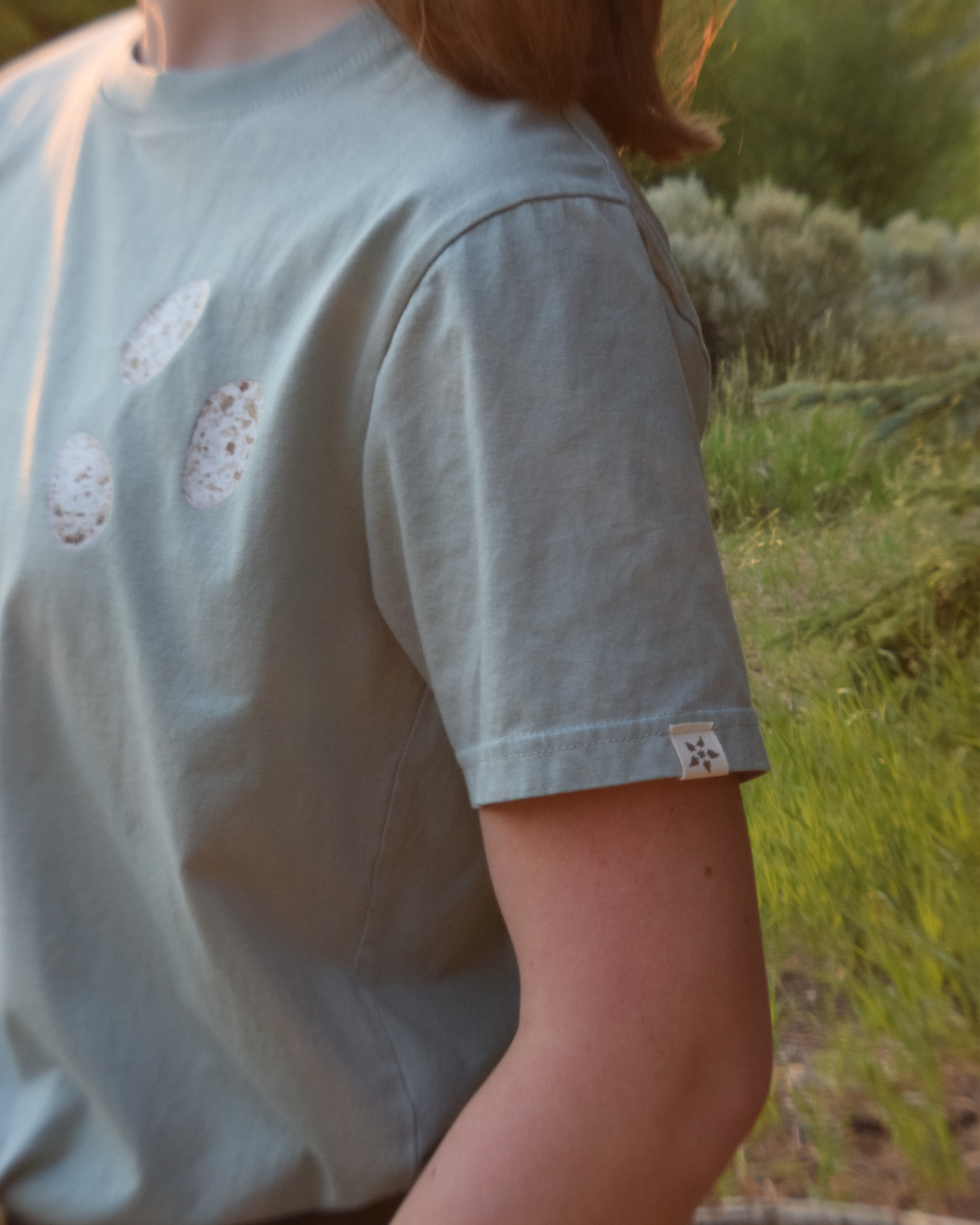 Steller's Jay 100% Organic Cotton Tee