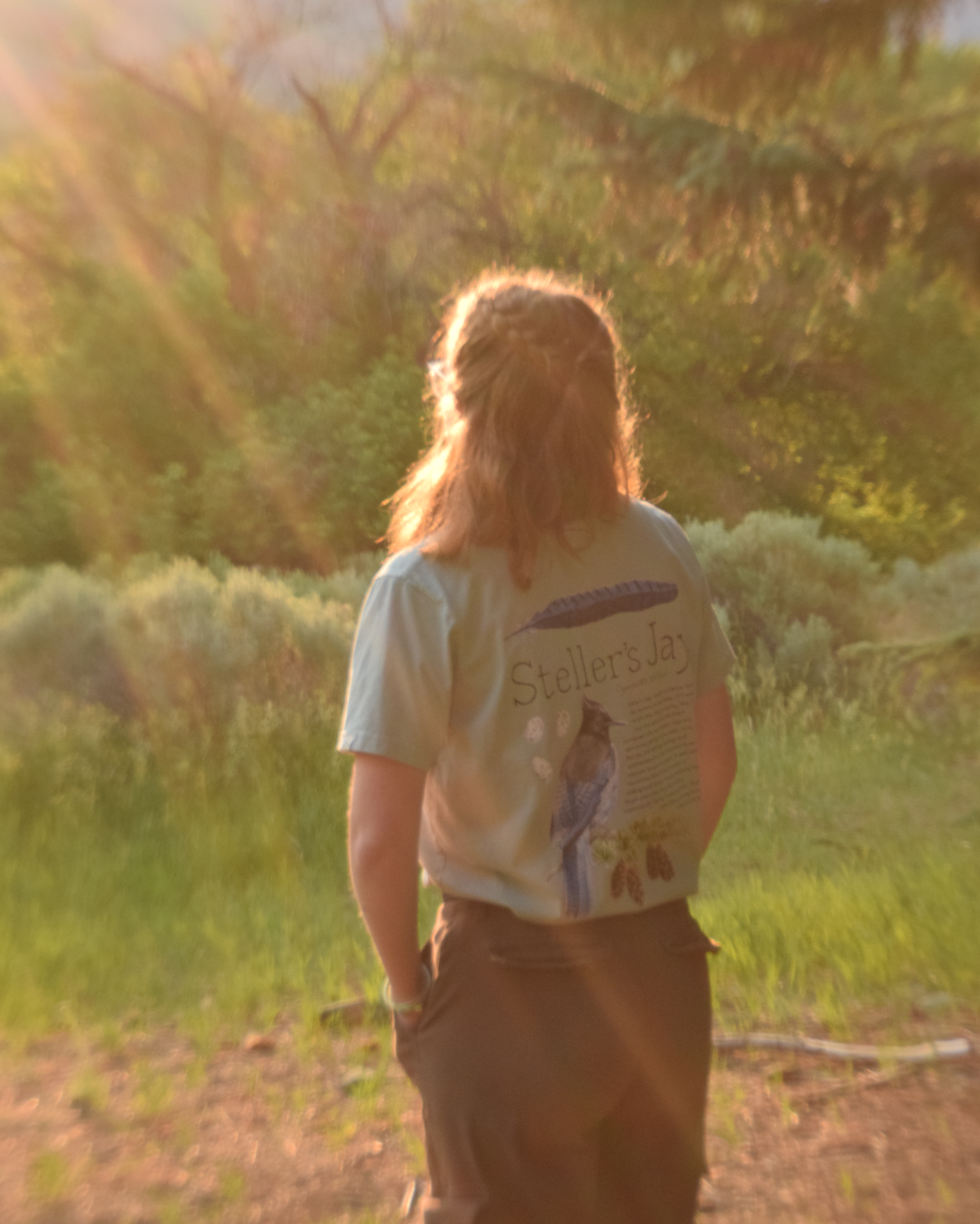 Steller's Jay 100% Organic Cotton Tee
