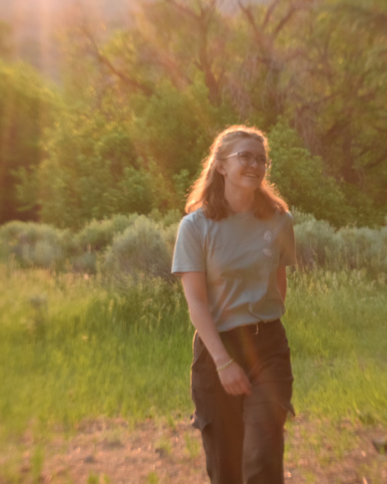 Steller's Jay 100% Organic Cotton Tee