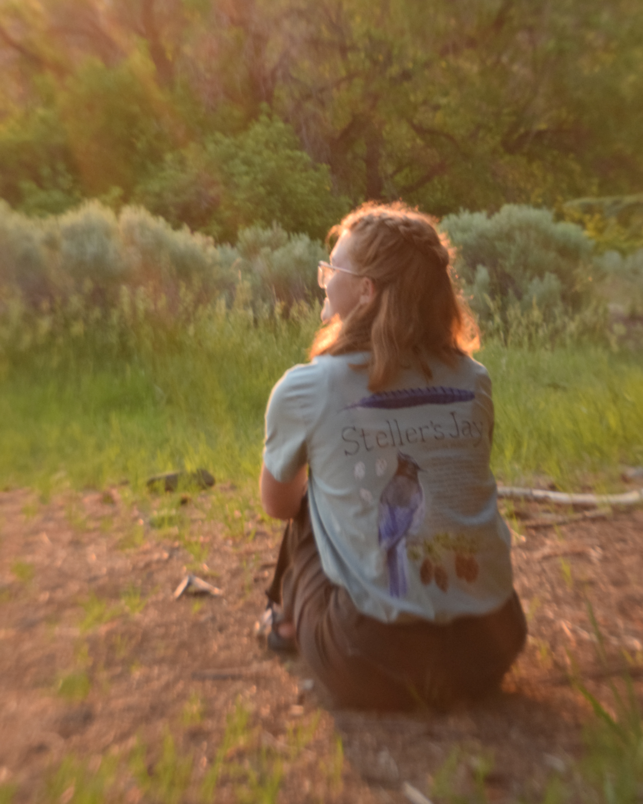 Steller's Jay 100% Organic Cotton Tee