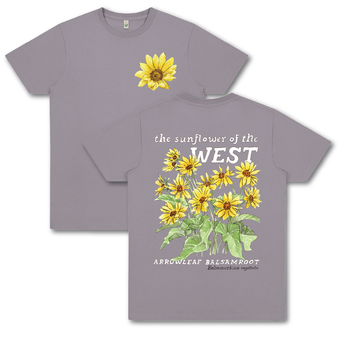 Arrowleaf Balsamroot Tee