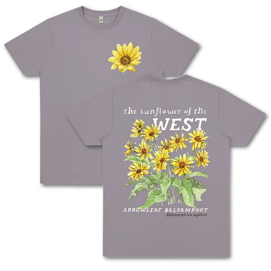 Arrowleaf Balsamroot Tee