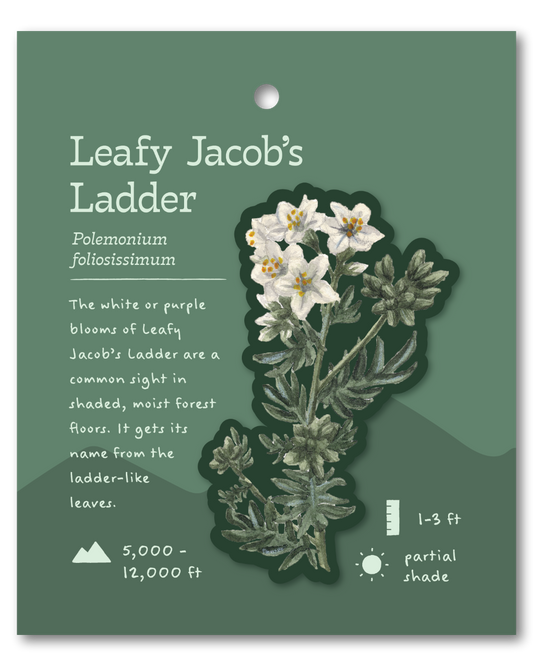 Leafy Jacob's Ladder Sticker