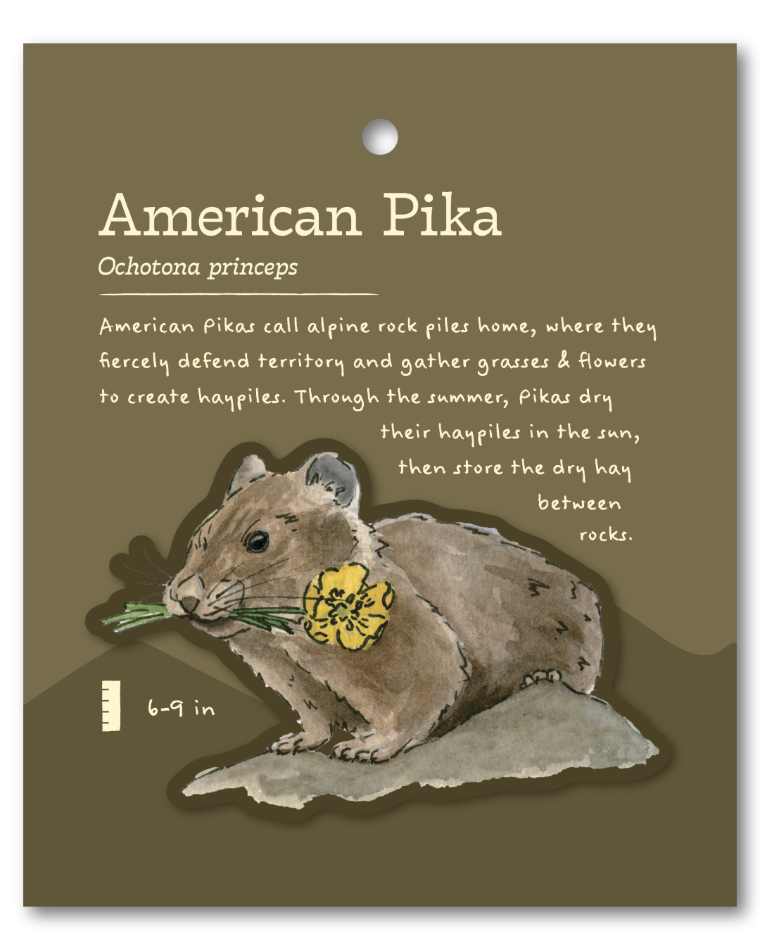 American Pika Sticker