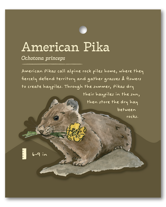 American Pika Sticker