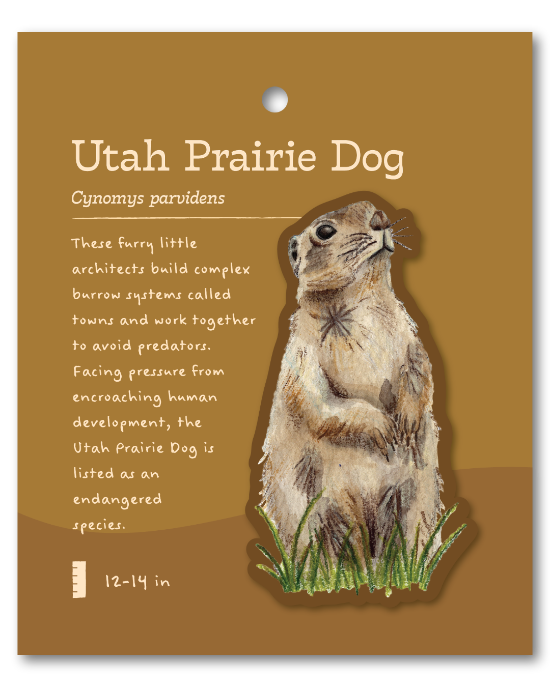 Utah Prairie Dog Sticker