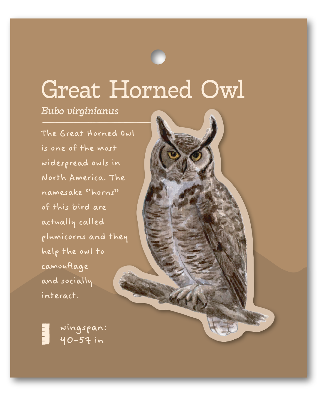 Great Horned Owl Sticker