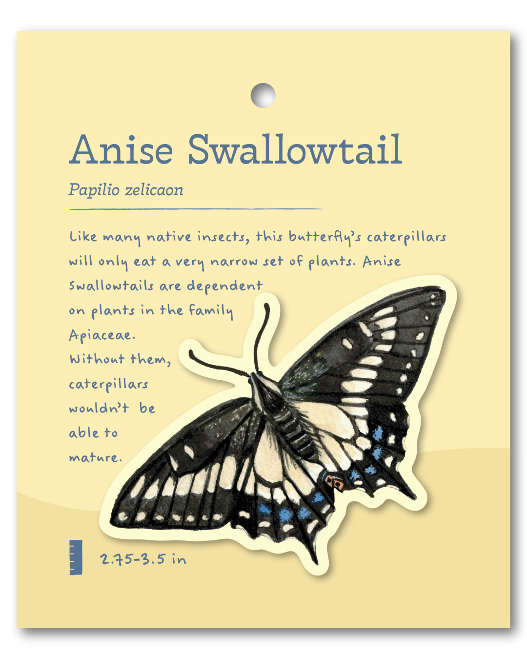 Anise Swallowtail Sticker