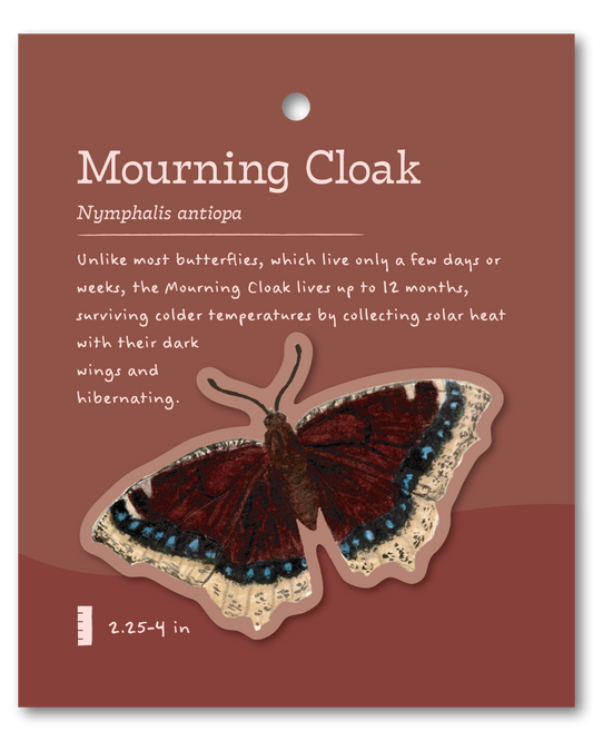 Mourning Cloak Sticker