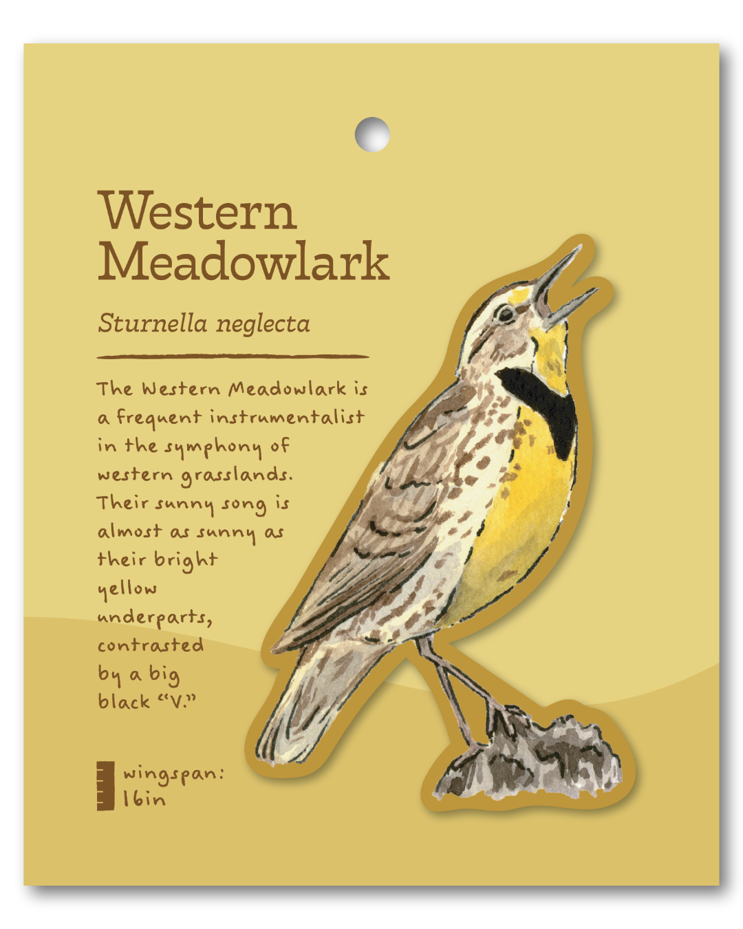 Western Meadowlark Sticker