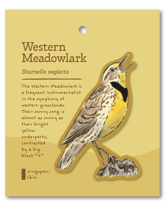 Western Meadowlark Sticker