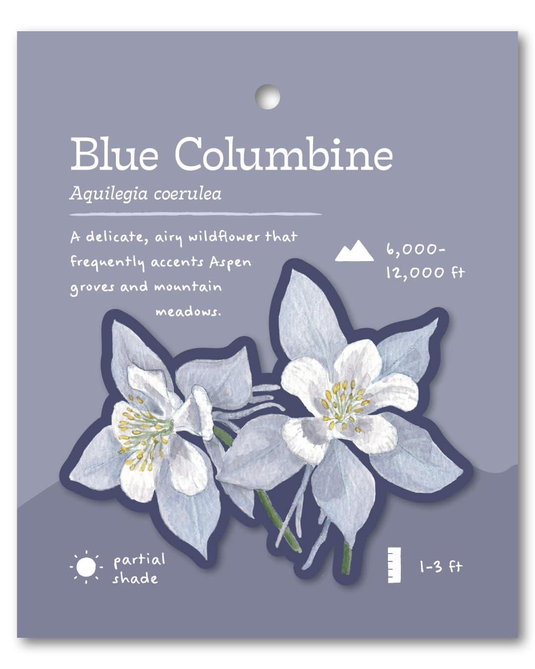 Blue Columbine Sticker
