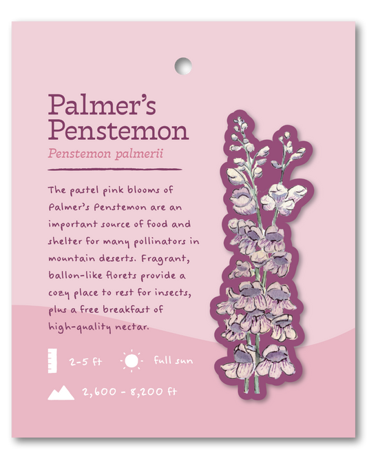 Palmer's Penstemon Sticker
