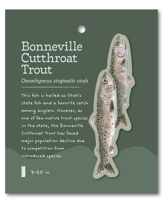 Bonneville Cutthroat Trout Sticker