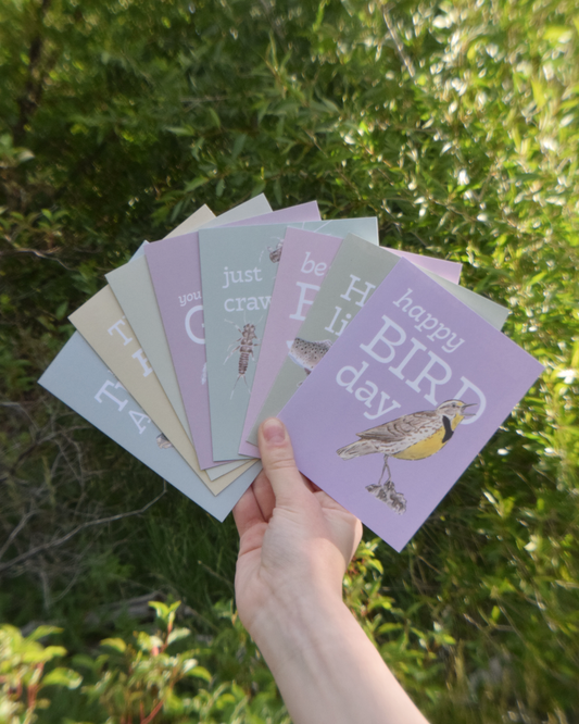 Pack of 8 Punny Greeting Cards