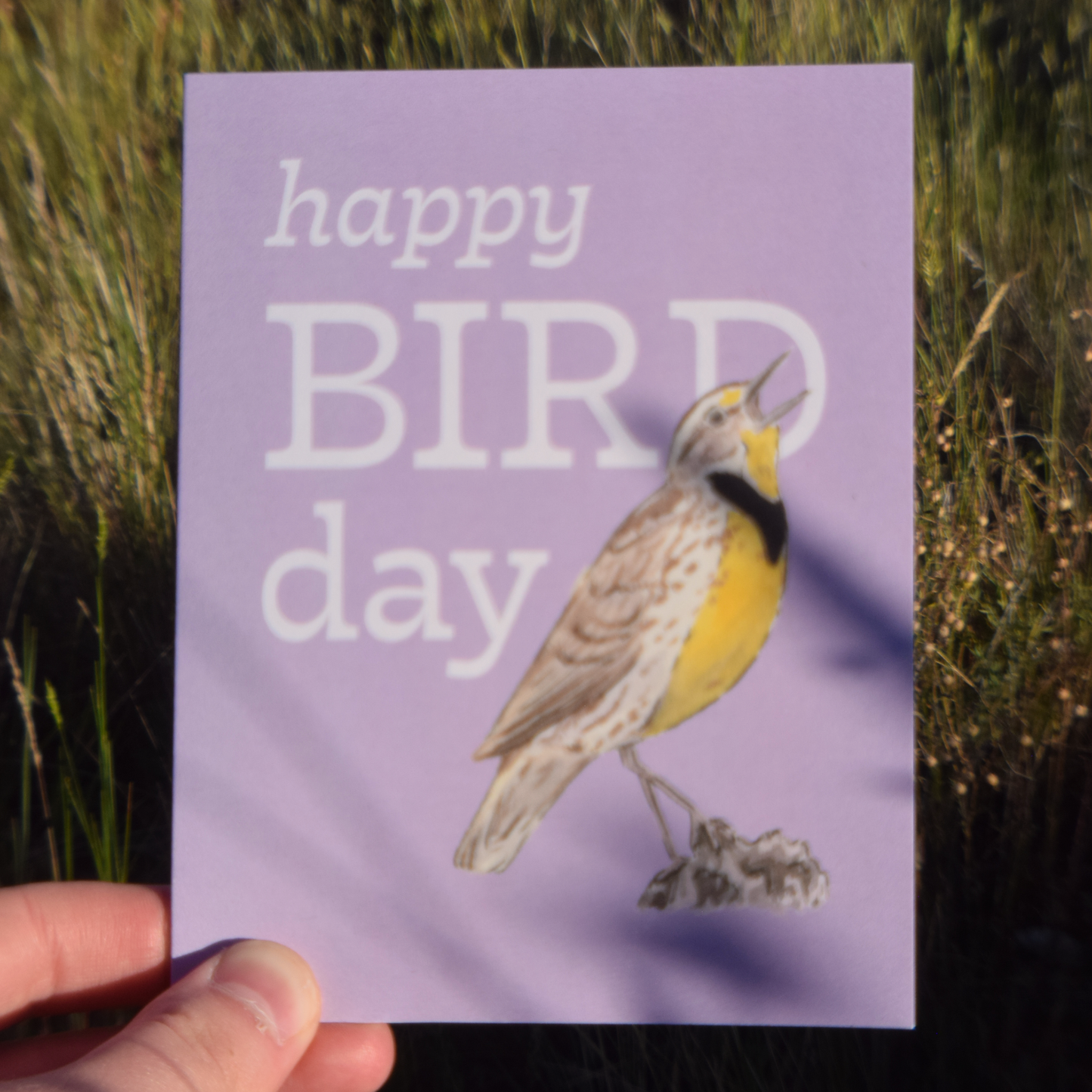 Happy Bird Day Card