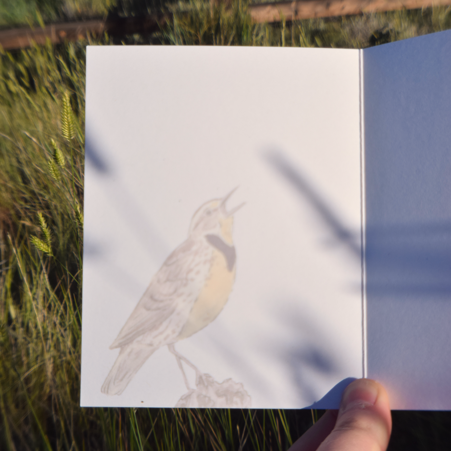 Happy Bird Day Card