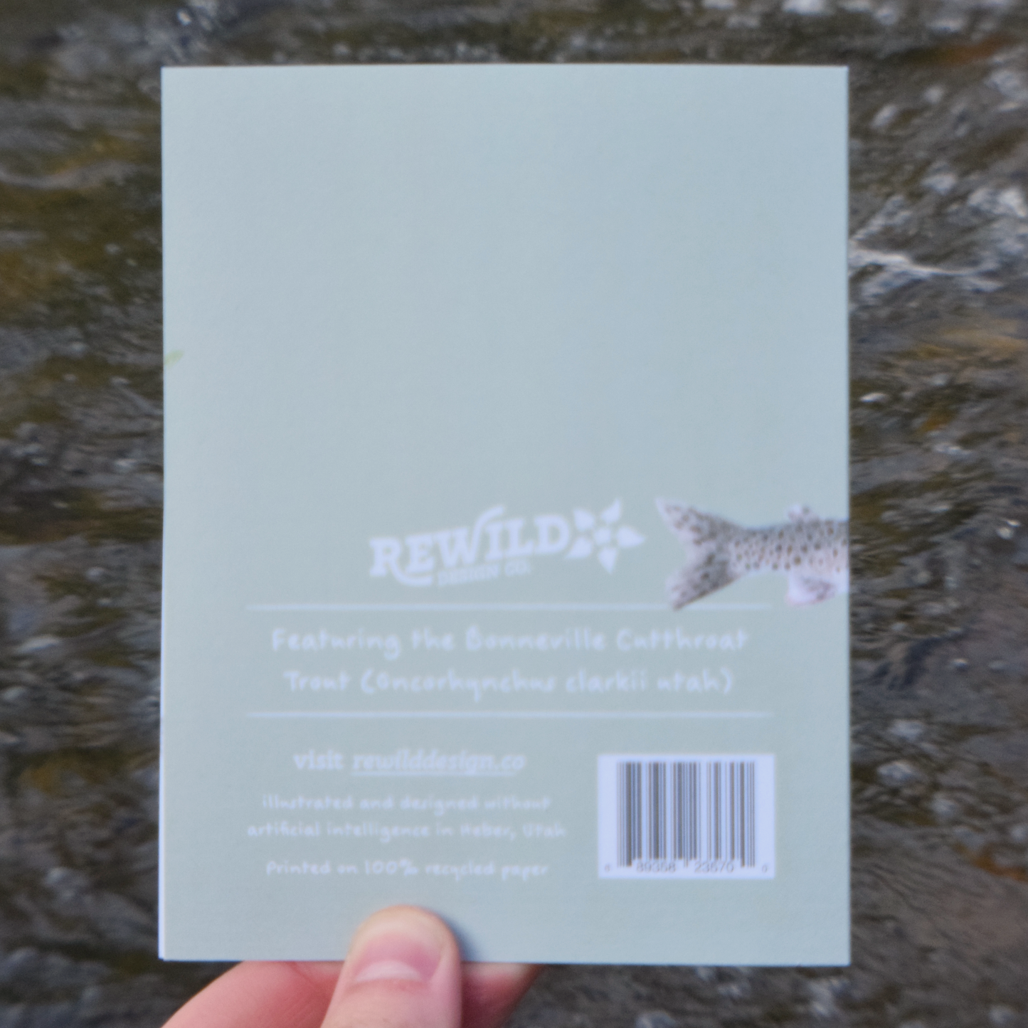 Hook, Line, and Sinker Card