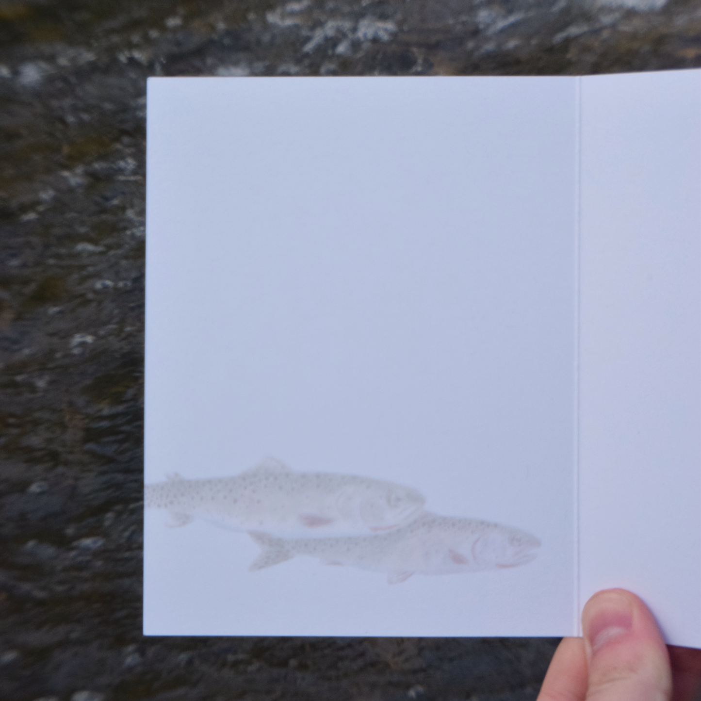 Hook, Line, and Sinker Card