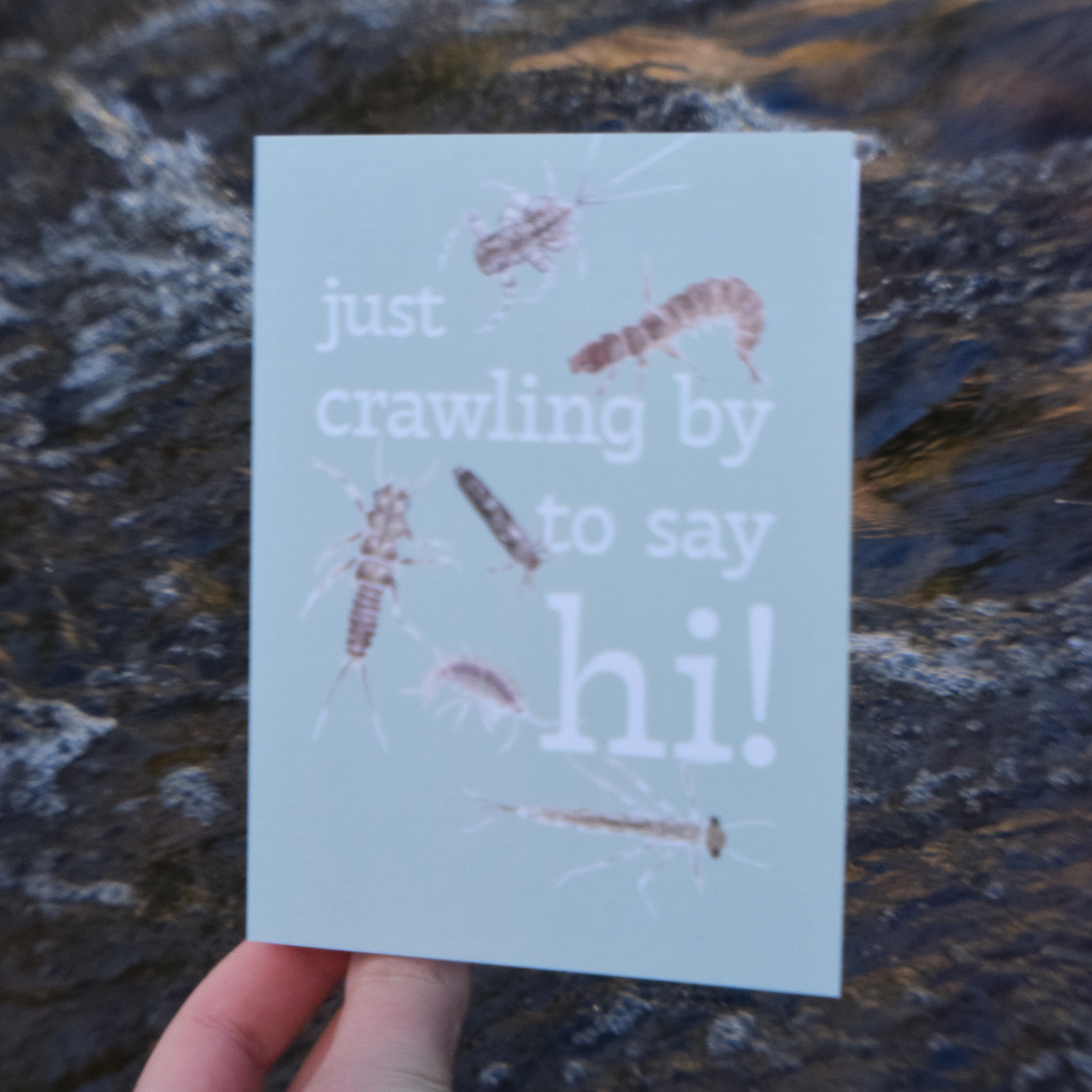 Just Crawling By to Say Hi Card