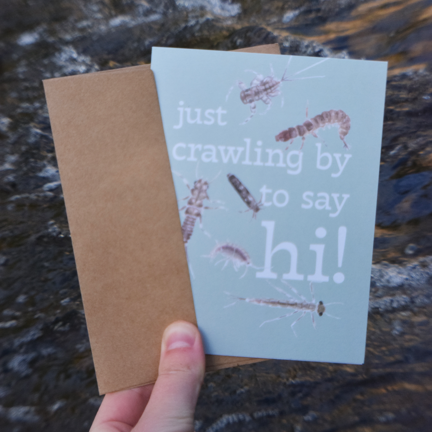 Just Crawling By to Say Hi Card