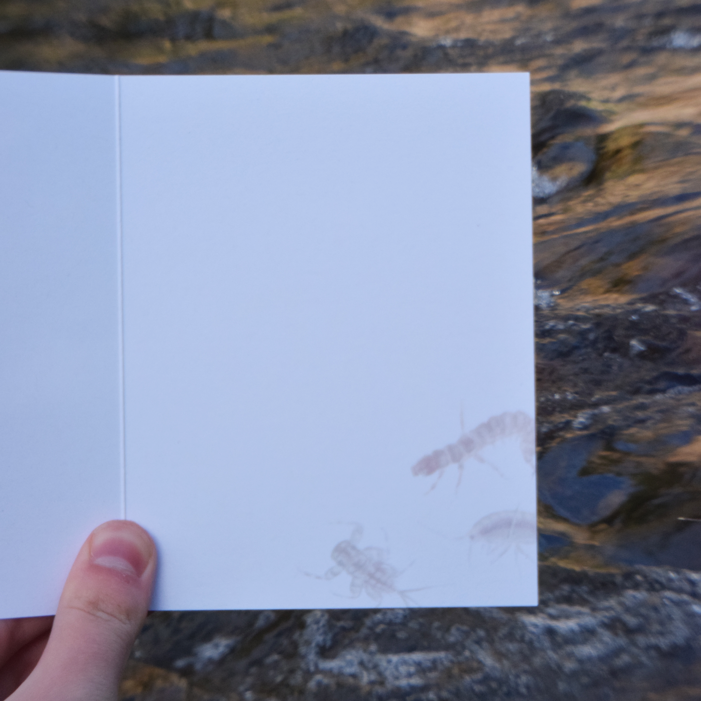 Just Crawling By to Say Hi Card