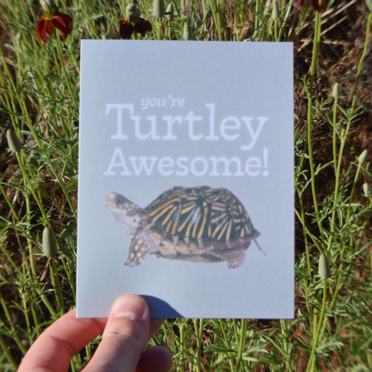 You're Turtley Awesome Card