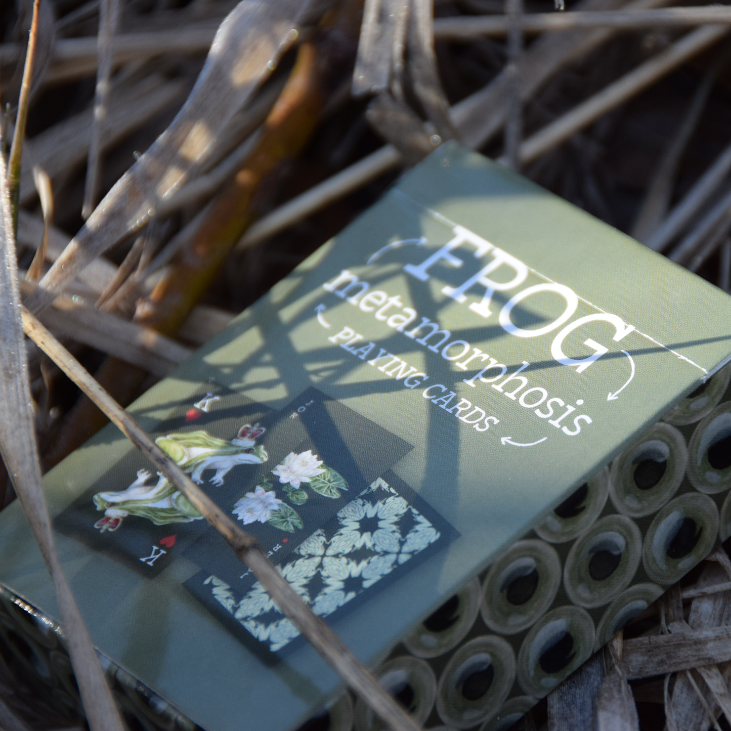 Frog Metamorphosis Playing Cards