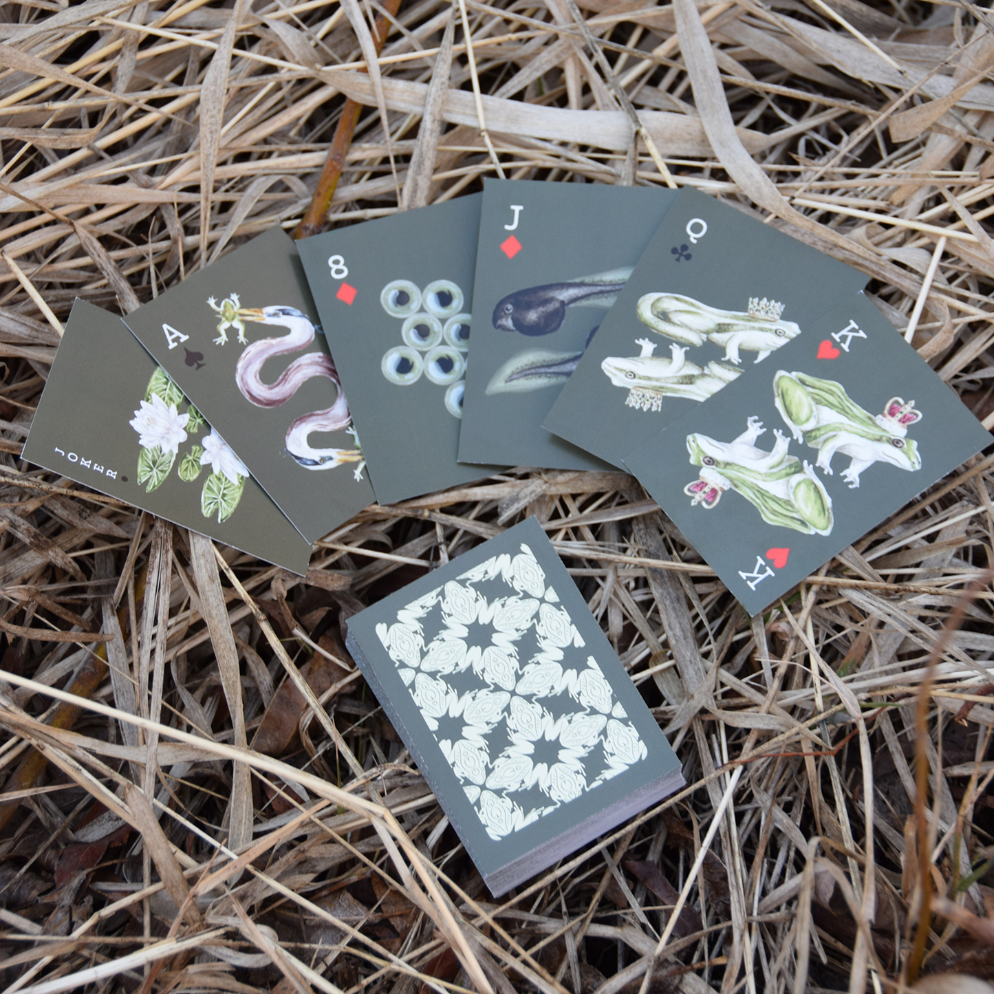 Frog Metamorphosis Playing Cards