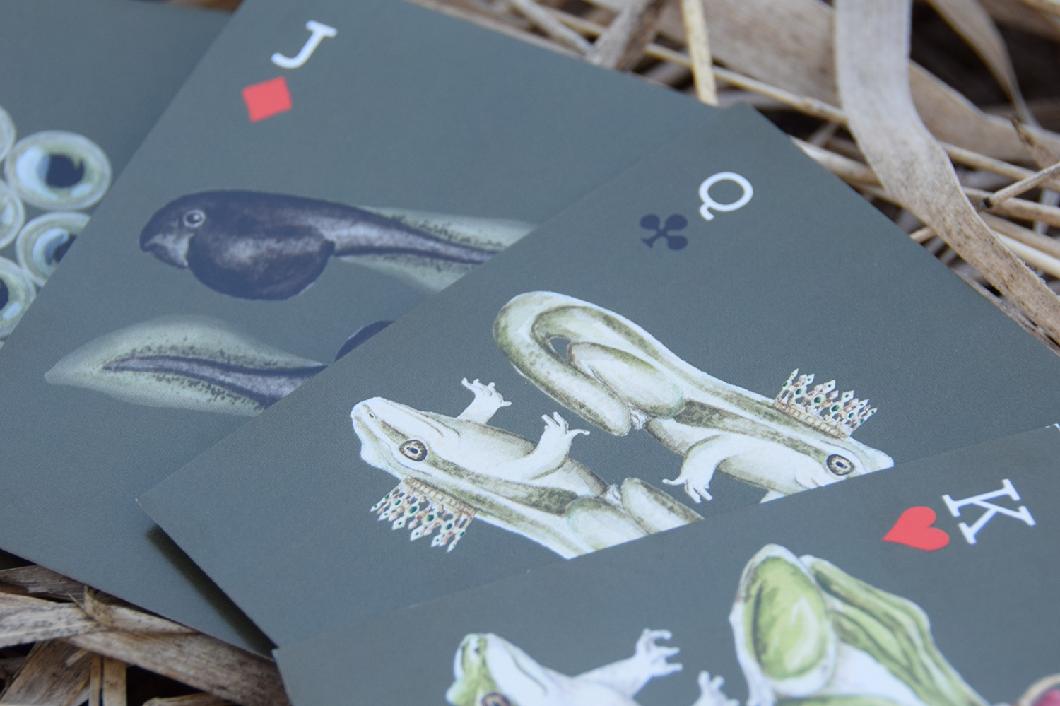 Playing cards with frog illustrations on a natural background