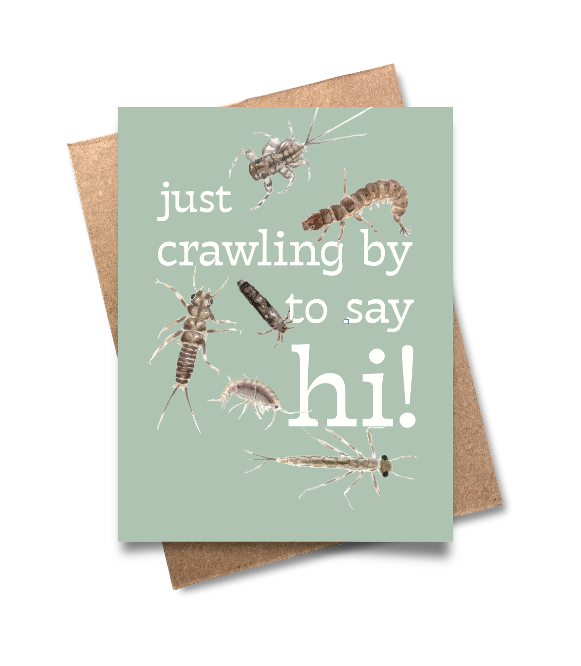 Pack of 8 Punny Greeting Cards