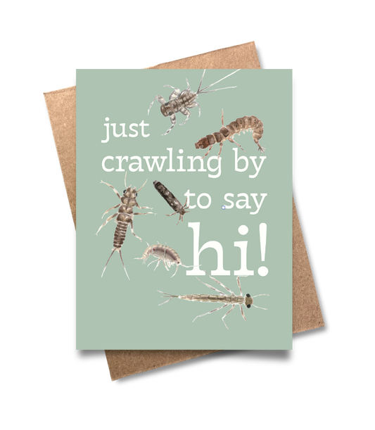 Just Crawling By to Say Hi Card