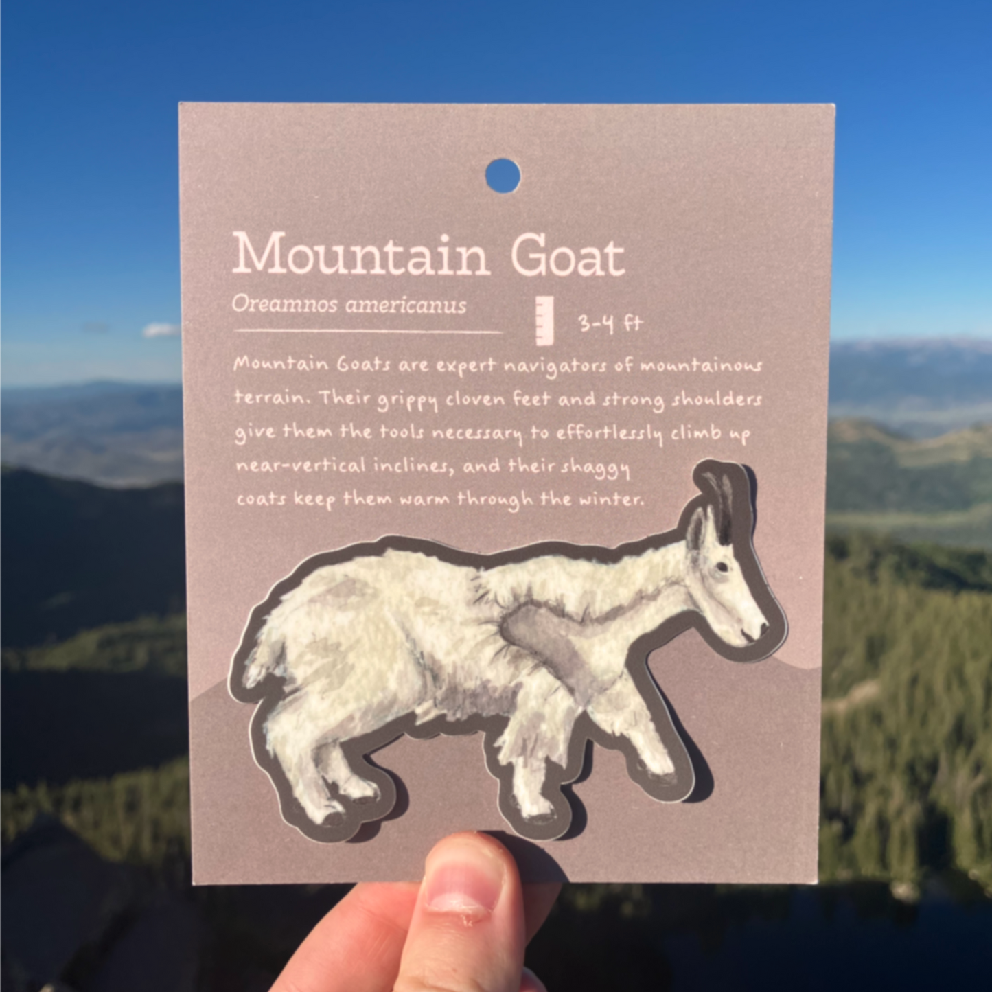 Mountain Goat Sticker
