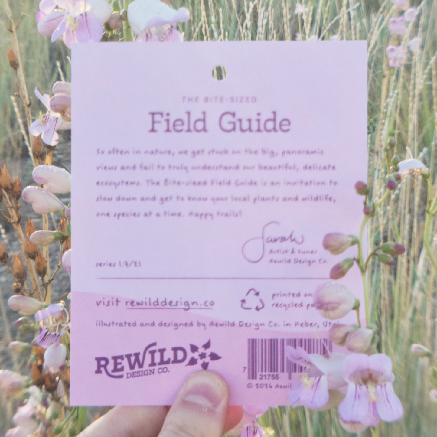 Palmer's Penstemon Sticker