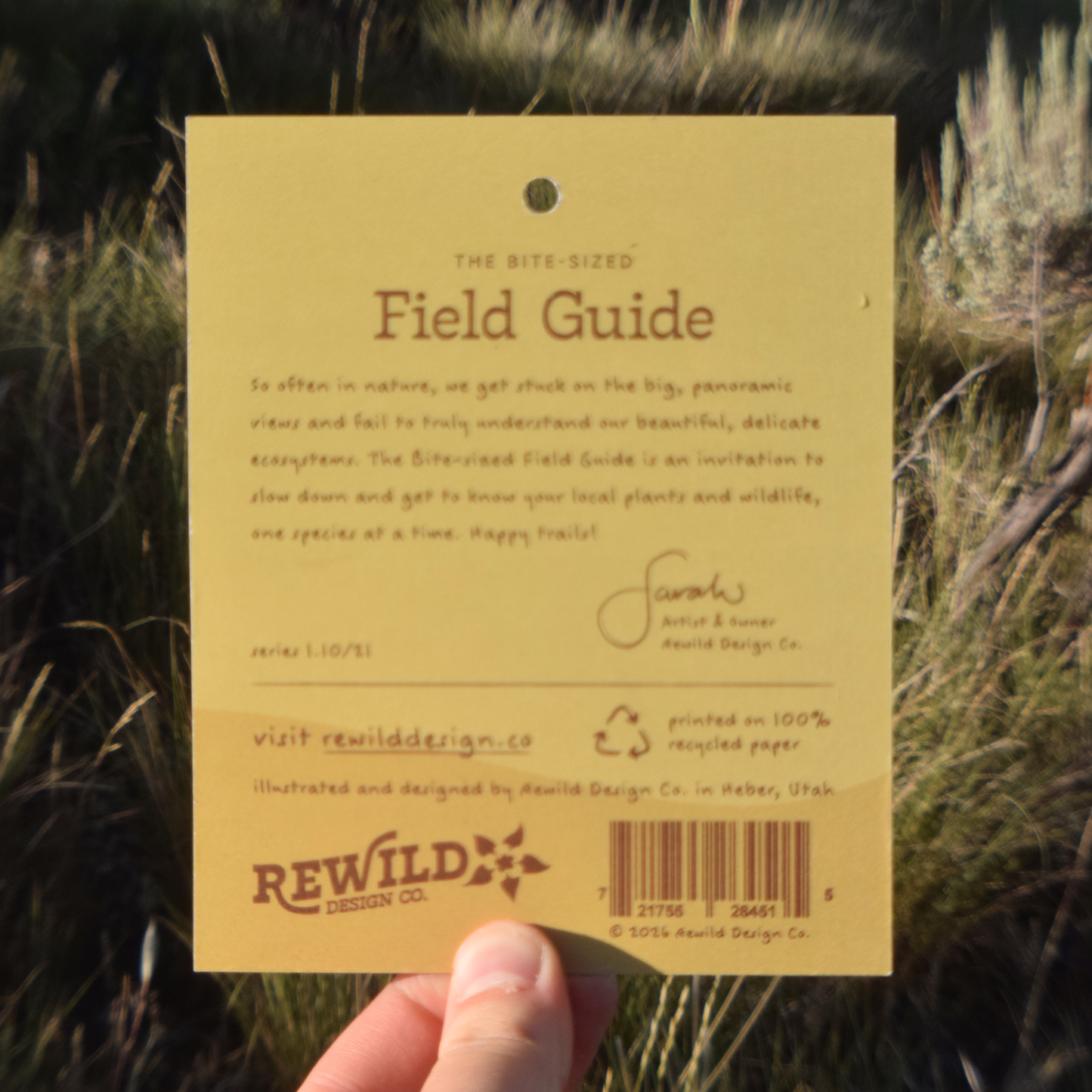 Western Meadowlark Sticker
