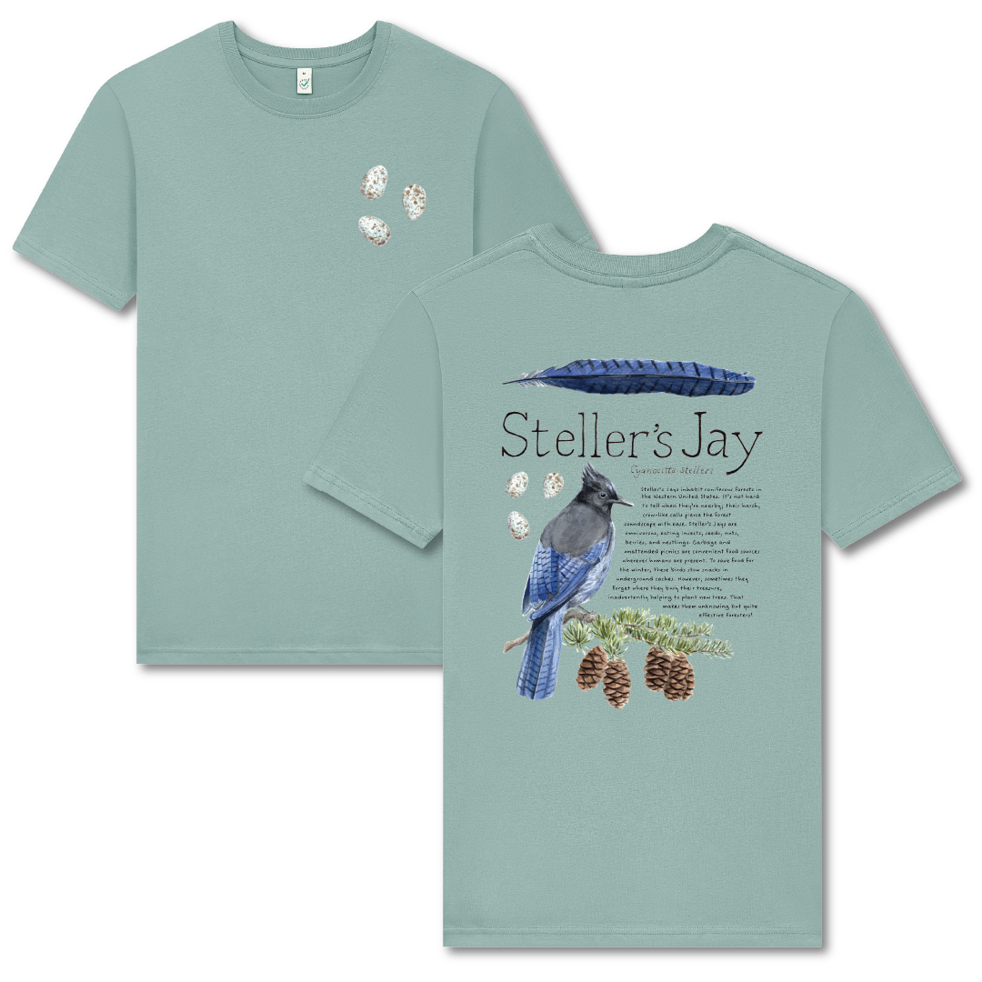 Steller's Jay 100% Organic Cotton Tee