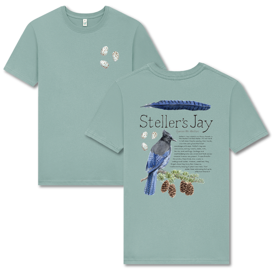 Steller's Jay 100% Organic Cotton Tee